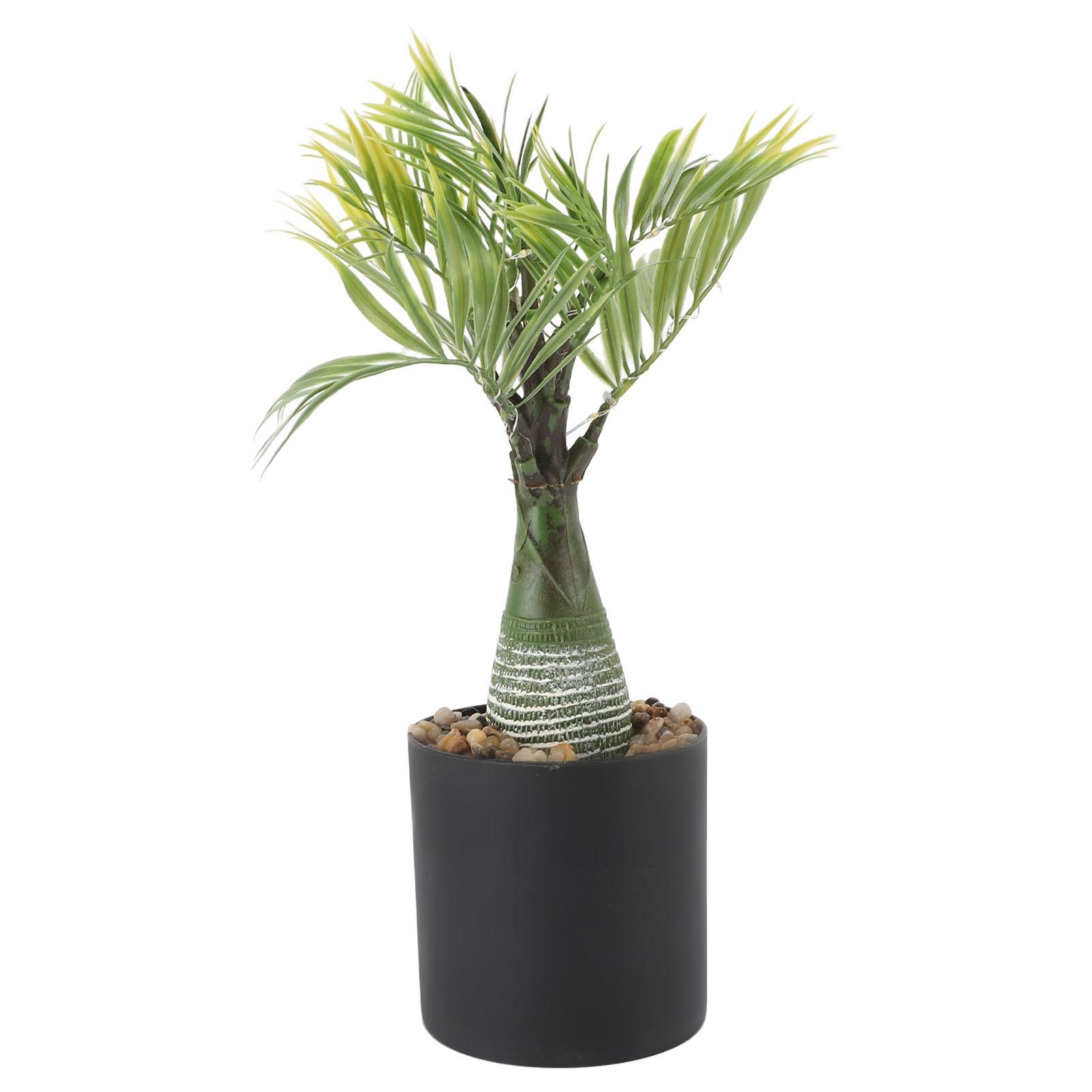 Palm Tree Table Decor with Light USB Powered LED Light Artificial Light Up Palm Tree Decoration for Bar Party Home
Palm Tree Table Decor with Light USB Powered LED Light Artificial Light Up Palm Tree Decoration for Bar Party Home