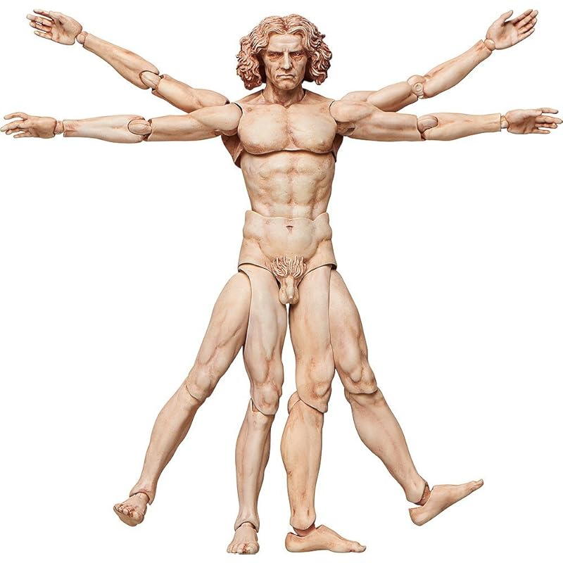 figma table art museum Vitruvian human figure non-scale Made of ABS&PVC Painted movable figure
figma table art museum Vitruvian human figure non-scale Made of ABS&PVC Painted movable figure