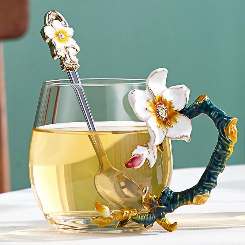 Nuosiman Elegant Floral Glass Mug Gift Set
Nuosiman Elegant Floral Glass Mug Gift Set