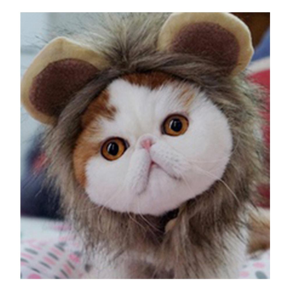 Halloween Cute Funny Party Interactive Lion Mane Wig Cap Dog Cat Cap Cosplay Costume Pet Clothes
Halloween Cute Funny Party Interactive Lion Mane Wig Cap Dog Cat Cap Cosplay Costume Pet Clothes