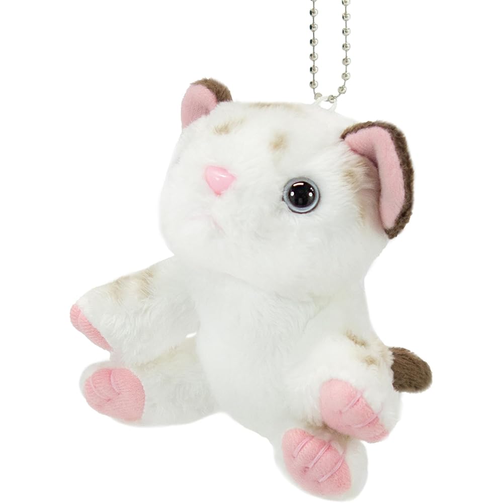 Riku no Nakama-tachi Plush Toy White Tiger 30cm Soft Stuffed Animal Mascot
Riku no Nakama-tachi Plush Toy White Tiger 30cm Soft Stuffed Animal Mascot