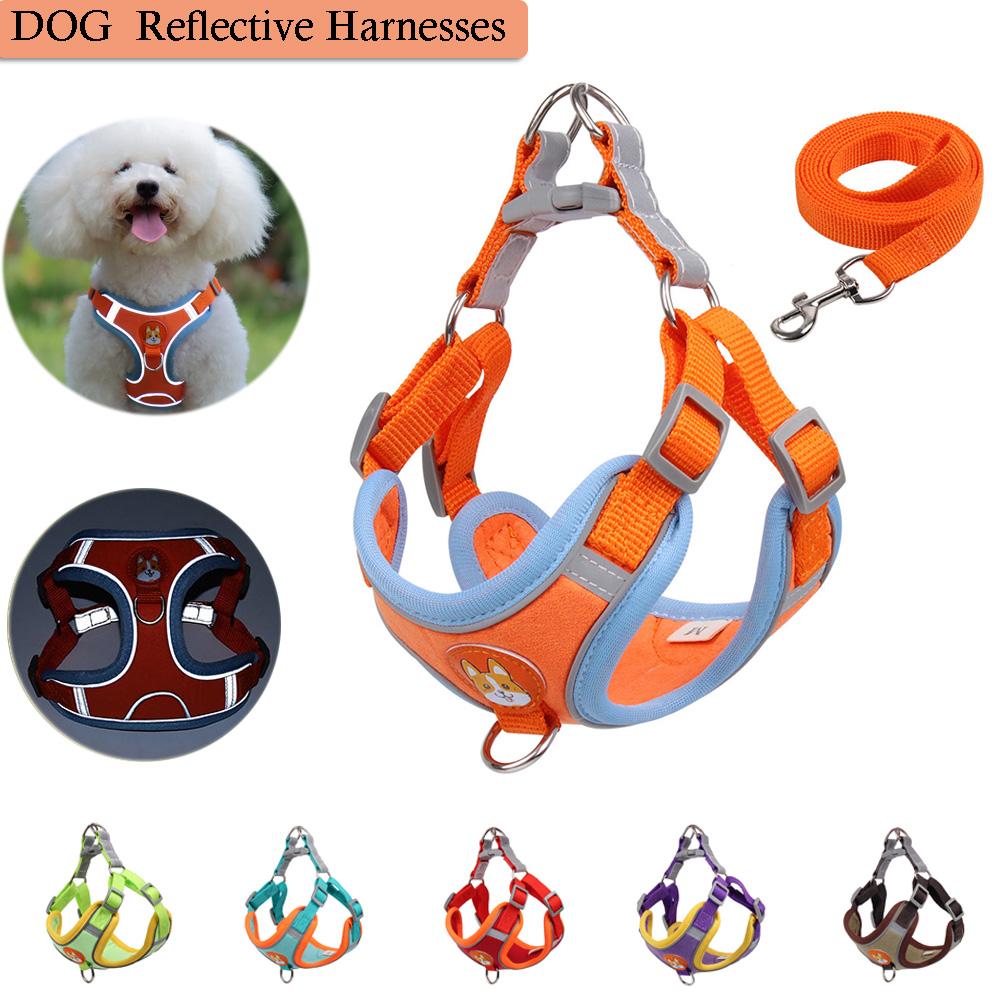 Набор шлейки и поводка для маленьких собак, нагрудный ремень для чихуахуа, регулируемый светоотражающий красный, синий свинцовый жилет для щенков, тяга для прогулок 
Набор шлейки и поводка для маленьких собак, нагрудный ремень для чихуахуа, регулируемый светоотражающий красный, синий свинцовый жилет для щенков, тяга для прогулок
