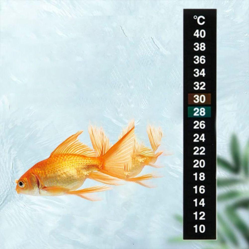 8 шт. Самоклеящийся термометр для аквариума 10℃ до 40℃ Цифровая наклейка температуры Аквариум 8pcs
8 шт. Самоклеящийся термометр для аквариума 10℃ до 40℃ Цифровая наклейка температуры Аквариум 8pcs