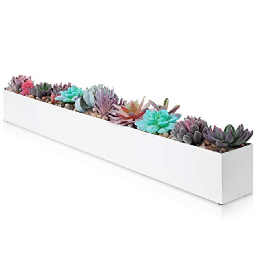 Modern Rectangle Planter Box 32 Metal Planter Ideal for Long Succulent Rectangular Box for Table or Window Sill Trough for Indo United States
Modern Rectangle Planter Box 32 Metal Planter Ideal for Long Succulent Rectangular Box for Table or Window Sill Trough for Indo United States