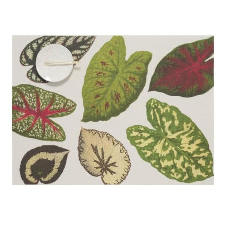 Scattered Leaf Placemat Set of 4 - Easy Care Woven Indoor Outdoor Rectangle Tabletop Textile - 18.5 x 13.5 - Natural Beige зелёный
Scattered Leaf Placemat Set of 4 - Easy Care Woven Indoor Outdoor Rectangle Tabletop Textile - 18.5 x 13.5 - Natural Beige зелёный