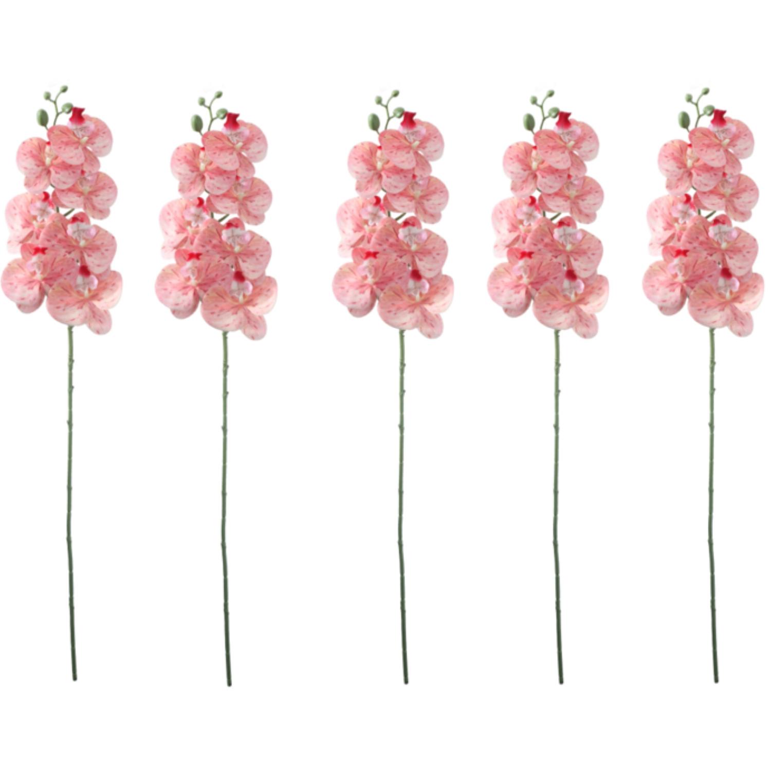 5 Pack Artificial Phalaenopsis Orchid Stems Realistic Silk Flowers for Elegant Home Table Centerpiece Decoration
5 Pack Artificial Phalaenopsis Orchid Stems Realistic Silk Flowers for Elegant Home Table Centerpiece Decoration