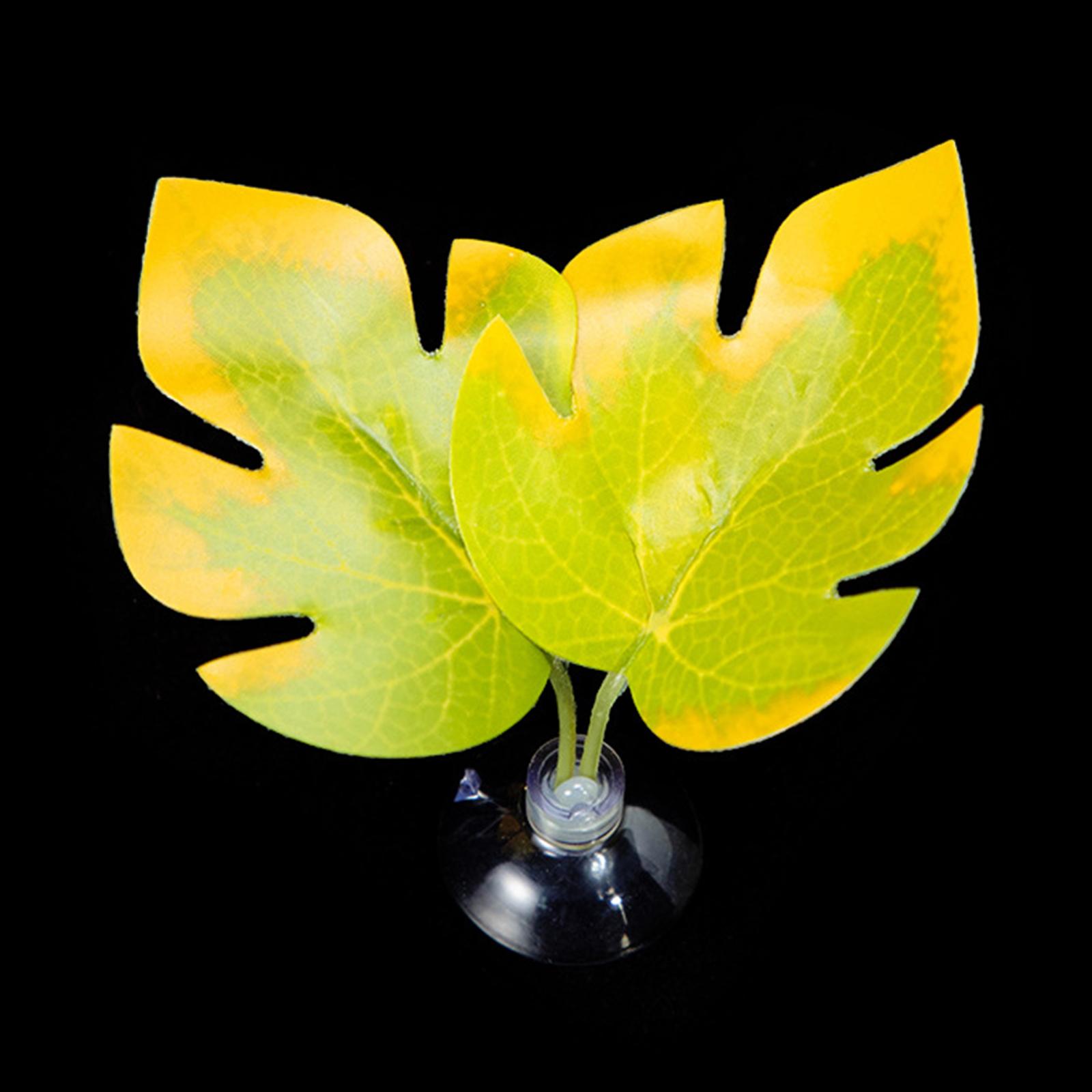 Присоска для лежака из листьев для рыбок Betta, гамак, аквариумы, нерестилища, листовые подстилки, аквариумы, принадлежности для разведения Y5
Присоска для лежака из листьев для рыбок Betta, гамак, аквариумы, нерестилища, листовые подстилки, аквариумы, принадлежности для разведения Y5