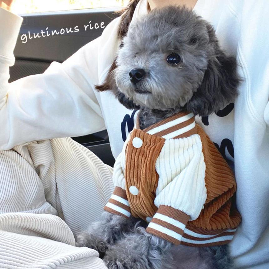 Dog Autumn and Winter Clothes Schnauzer Hiromi Dog Korean Baseball Jacket Teddy Small Dog Pet Cat Warm Clothes Pet Supplies XS(old)
Dog Autumn and Winter Clothes Schnauzer Hiromi Dog Korean Baseball Jacket Teddy Small Dog Pet Cat Warm Clothes Pet Supplies XS(old)