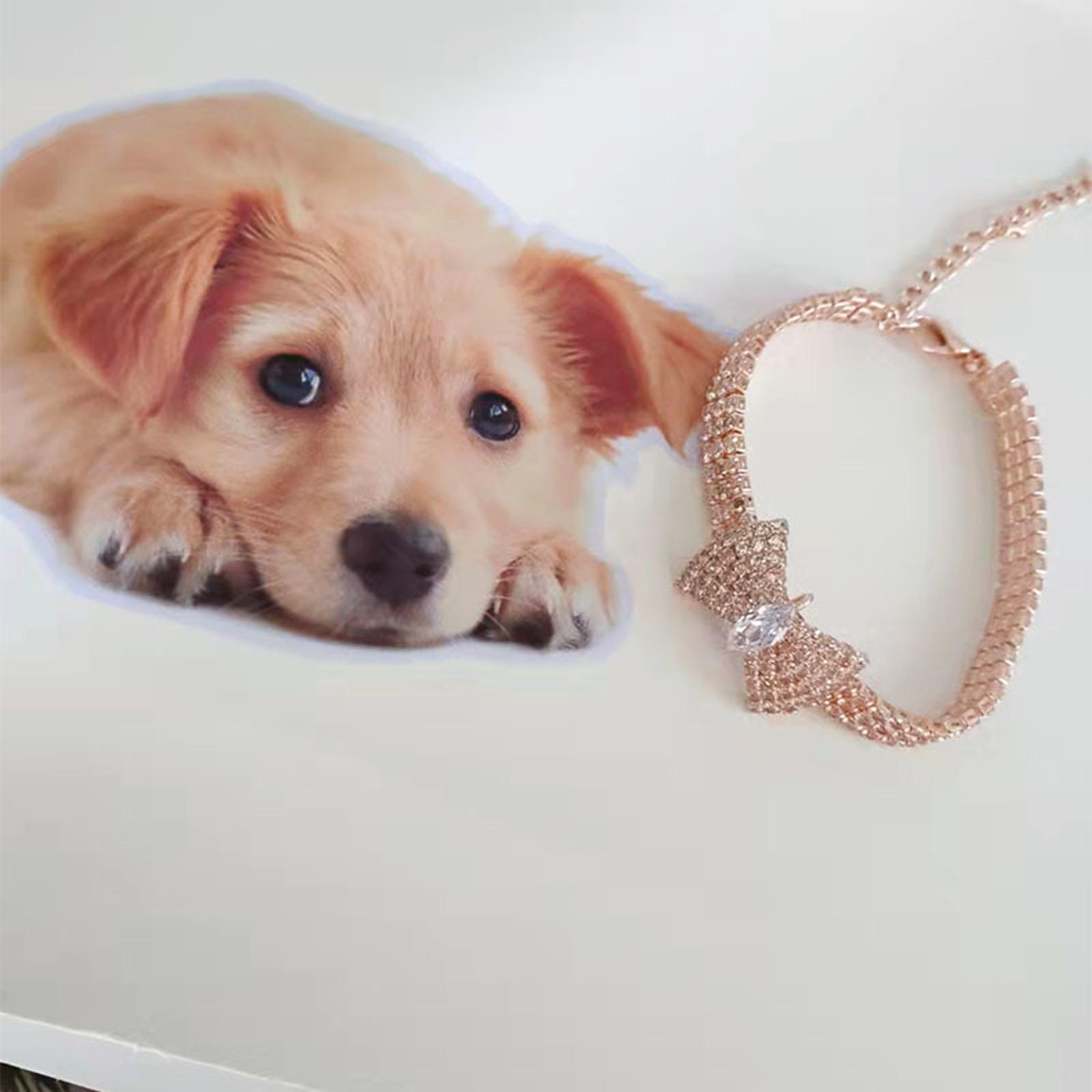 High-grade Dog Necklace Collar Fashion Jeweled Bow Puppy Collar with Bling Rhinestone Dogs Pet Supplies Accessories S
High-grade Dog Necklace Collar Fashion Jeweled Bow Puppy Collar with Bling Rhinestone Dogs Pet Supplies Accessories S