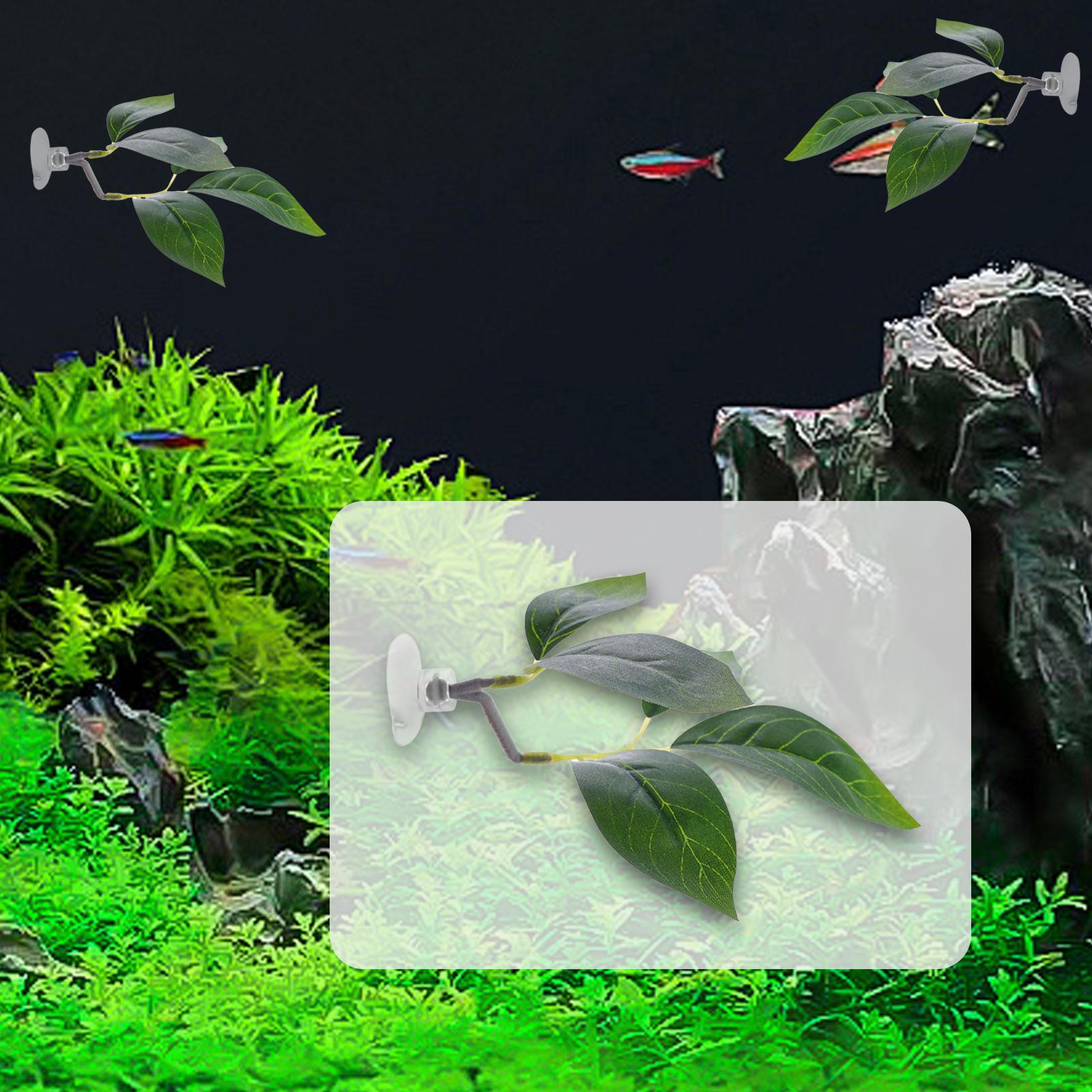 4-piece Betta Fish Leaf Pad Plant Bed with Suction Cup for Aquarium Decoration, Sleeping And Resting 1Pcs
4-piece Betta Fish Leaf Pad Plant Bed with Suction Cup for Aquarium Decoration, Sleeping And Resting 1Pcs