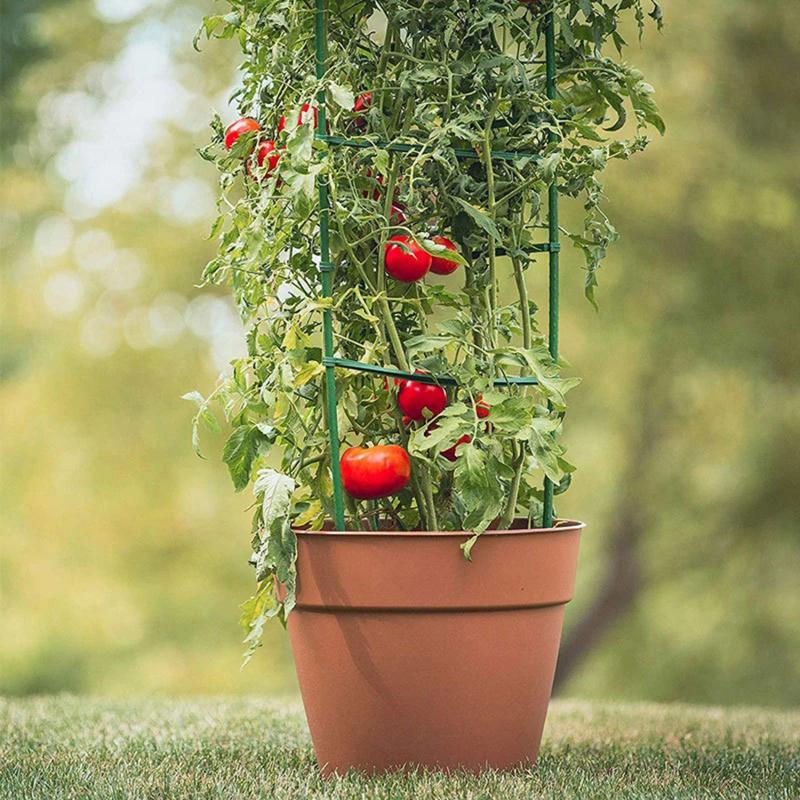Garden Vegetable Stakes Plant Cages To Support Plant Growth Anti Overturning Tomato Cages For Vertical Climbing Of Plants
Garden Vegetable Stakes Plant Cages To Support Plant Growth Anti Overturning Tomato Cages For Vertical Climbing Of Plants