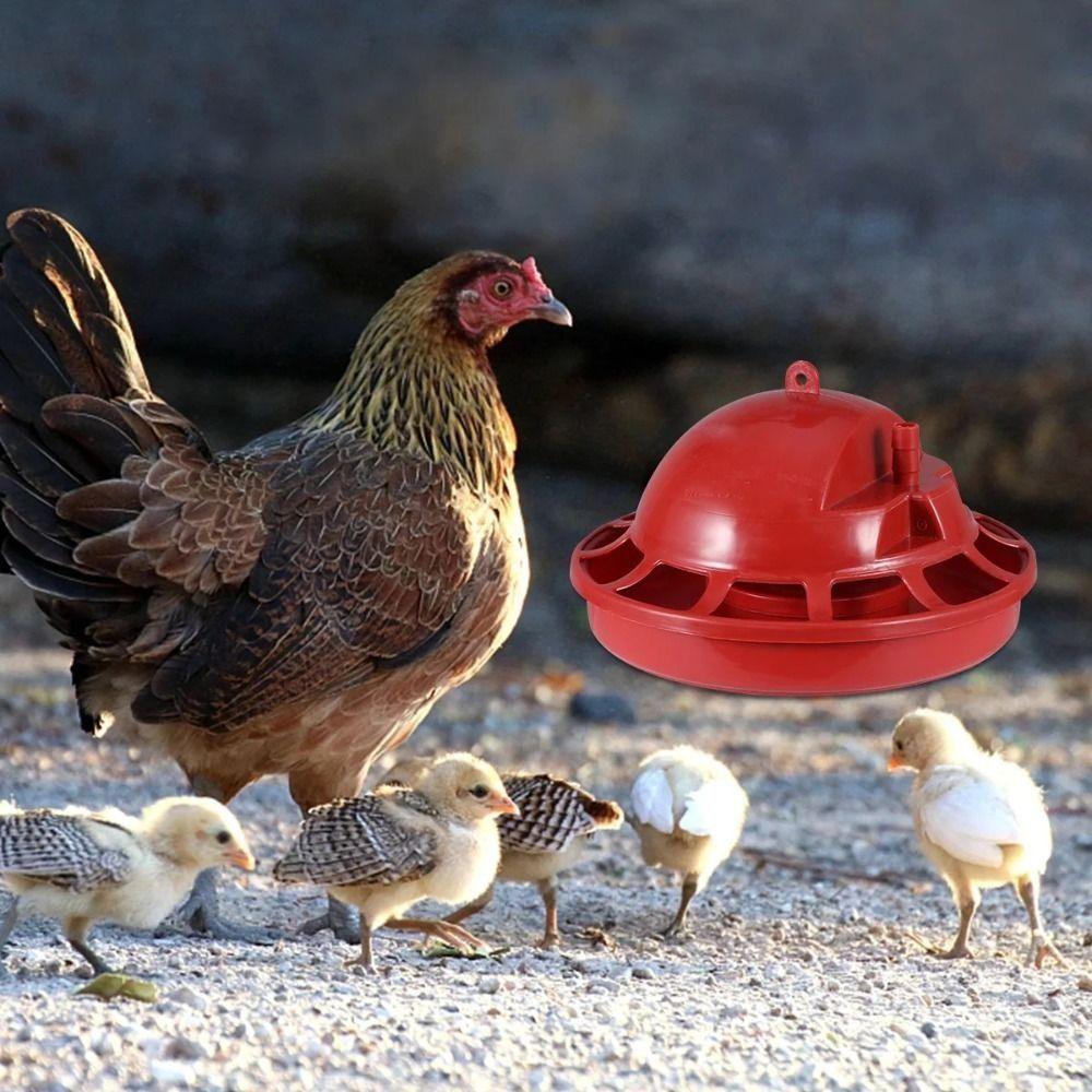 Portable Chick Drinking Bowl 5 Styles Chicken Drinking Fountains Poultry Waterer Chicken 3
Portable Chick Drinking Bowl 5 Styles Chicken Drinking Fountains Poultry Waterer Chicken 3