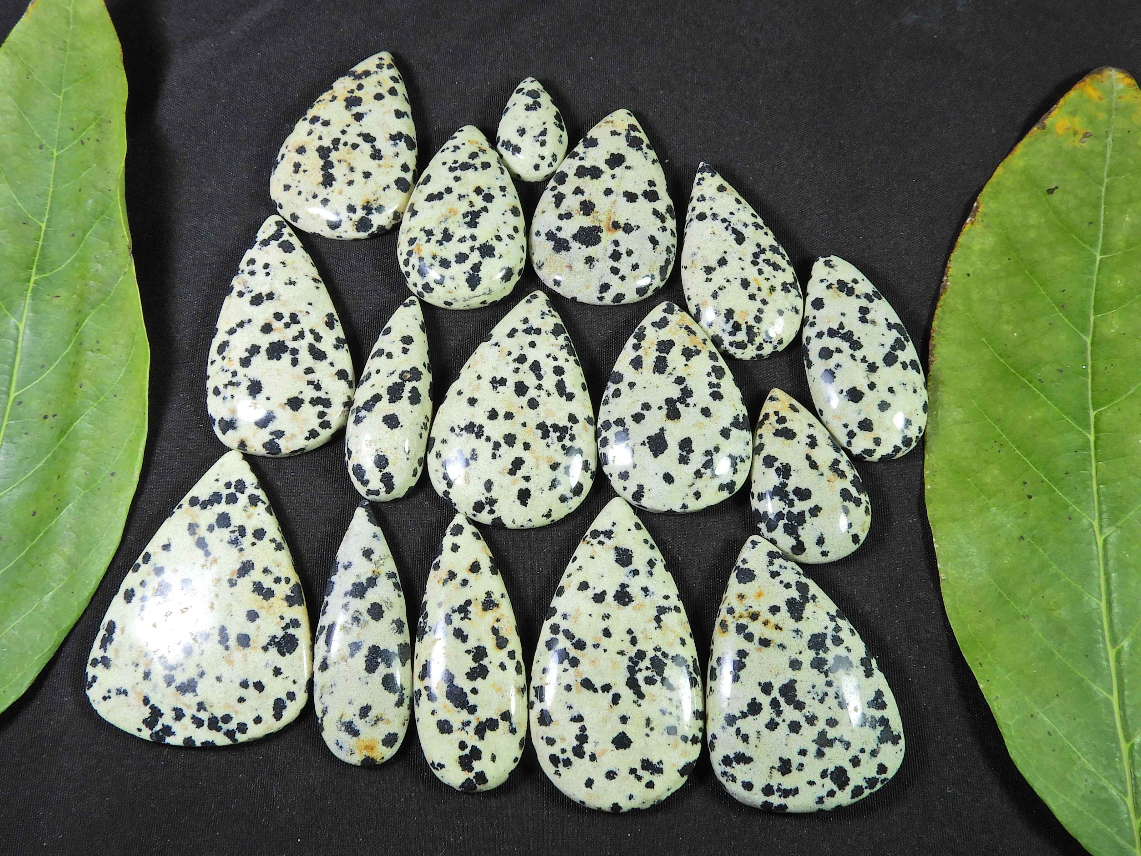 506Cts. AAA Natural Dalmation pear Cabochon Loose Gemstone 16Pcs Lot 19-41MM RQ-1470 
506Cts. AAA Natural Dalmation pear Cabochon Loose Gemstone 16Pcs Lot 19-41MM RQ-1470