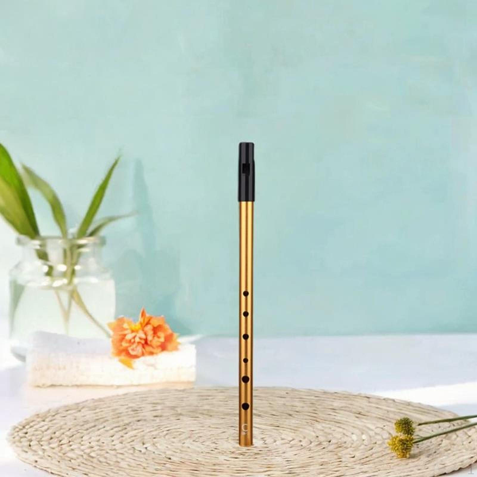 Whistle Flute Whistling Music Instrument Easy to Clean Party Gift Classical Penny C Key gold
Whistle Flute Whistling Music Instrument Easy to Clean Party Gift Classical Penny C Key gold