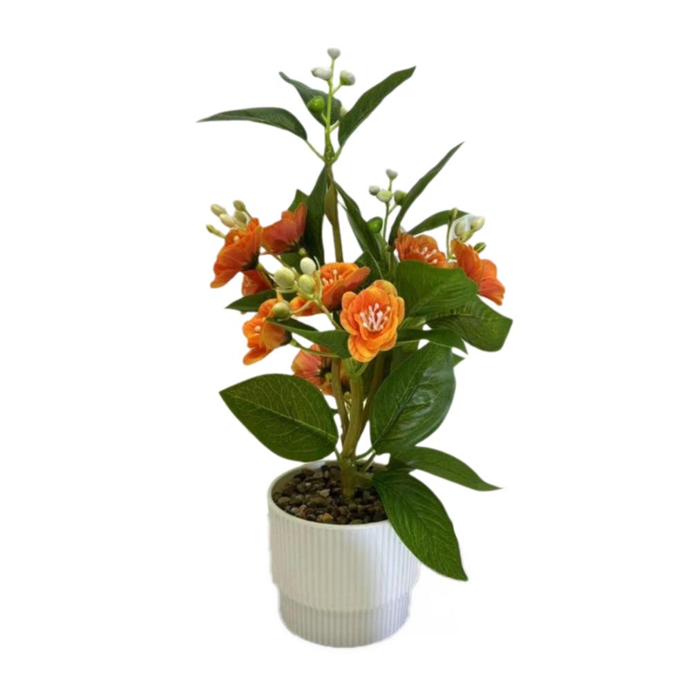 Multicolor Simulated Potted Plant 12 Flowers Faux Jasmine Flowers Bonsai Desktop Ornament оранжевый
Multicolor Simulated Potted Plant 12 Flowers Faux Jasmine Flowers Bonsai Desktop Ornament оранжевый