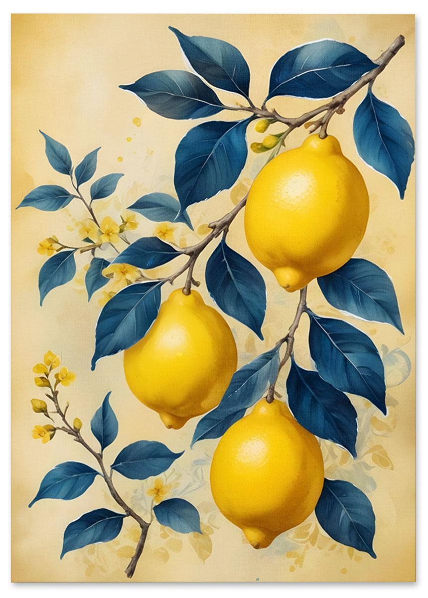 Плакат для кухні лимон 30x40 cm
Плакат для кухні лимон 30x40 cm