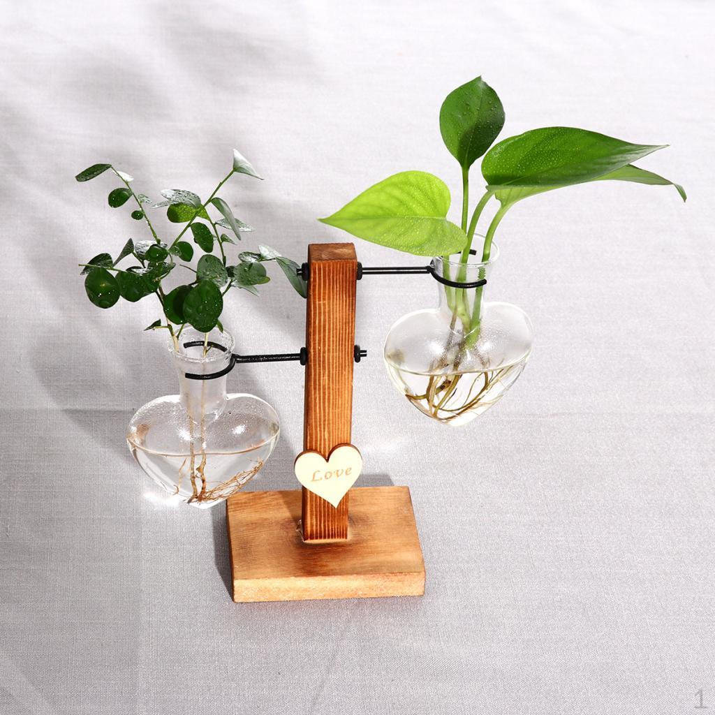 Terrariumin Vase in Wooden Stand Planter Dcorative Centerpieces
Terrariumin Vase in Wooden Stand Planter Dcorative Centerpieces