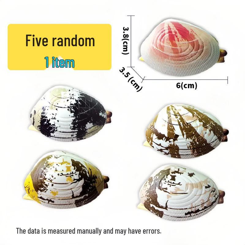 Мини-водяной пистолет в виде ракушки: Летняя брызгалка для детей и розыгрышей
Мини-водяной пистолет в виде ракушки: Летняя брызгалка для детей и розыгрышей