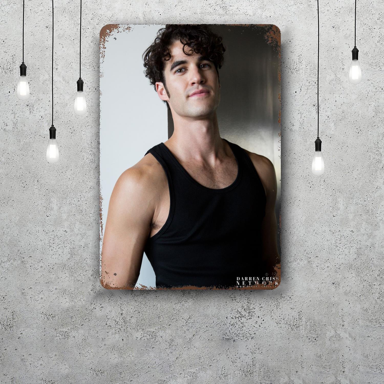 Darren Criss Vintage Metal Tin Signs Posters Decor Retro Metal Plaque Wall Art Decor for Garage Bar 20x30cm(7.8x11.8inch)
Darren Criss Vintage Metal Tin Signs Posters Decor Retro Metal Plaque Wall Art Decor for Garage Bar 20x30cm(7.8x11.8inch)