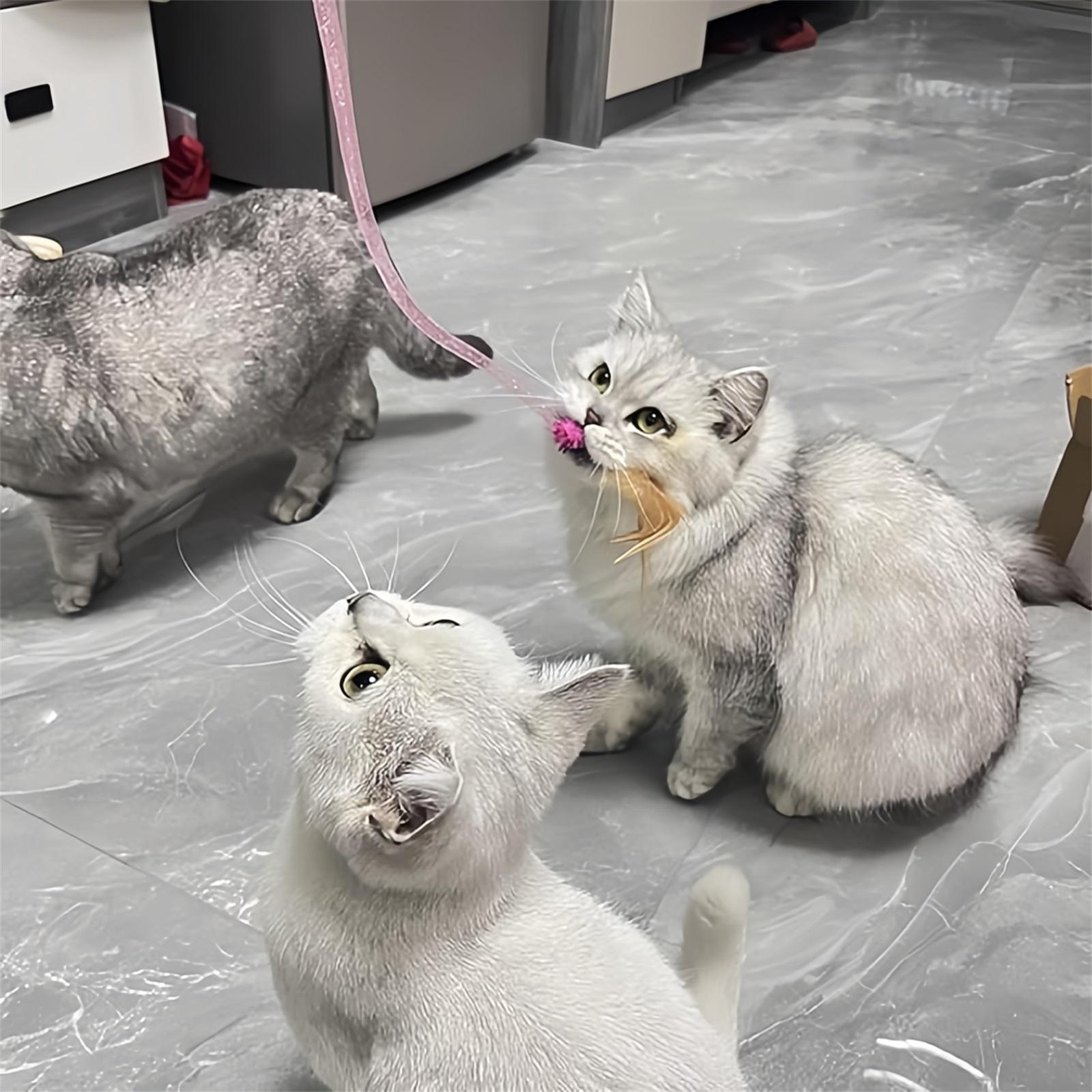 IUHKBH Wands, 3 Colors Mesh Tube Teaser Toys Cute Wand Interactive Toy Safe Stuff for All Breed Sizes One Size рожевий
IUHKBH Wands, 3 Colors Mesh Tube Teaser Toys Cute Wand Interactive Toy Safe Stuff for All Breed Sizes One Size рожевий