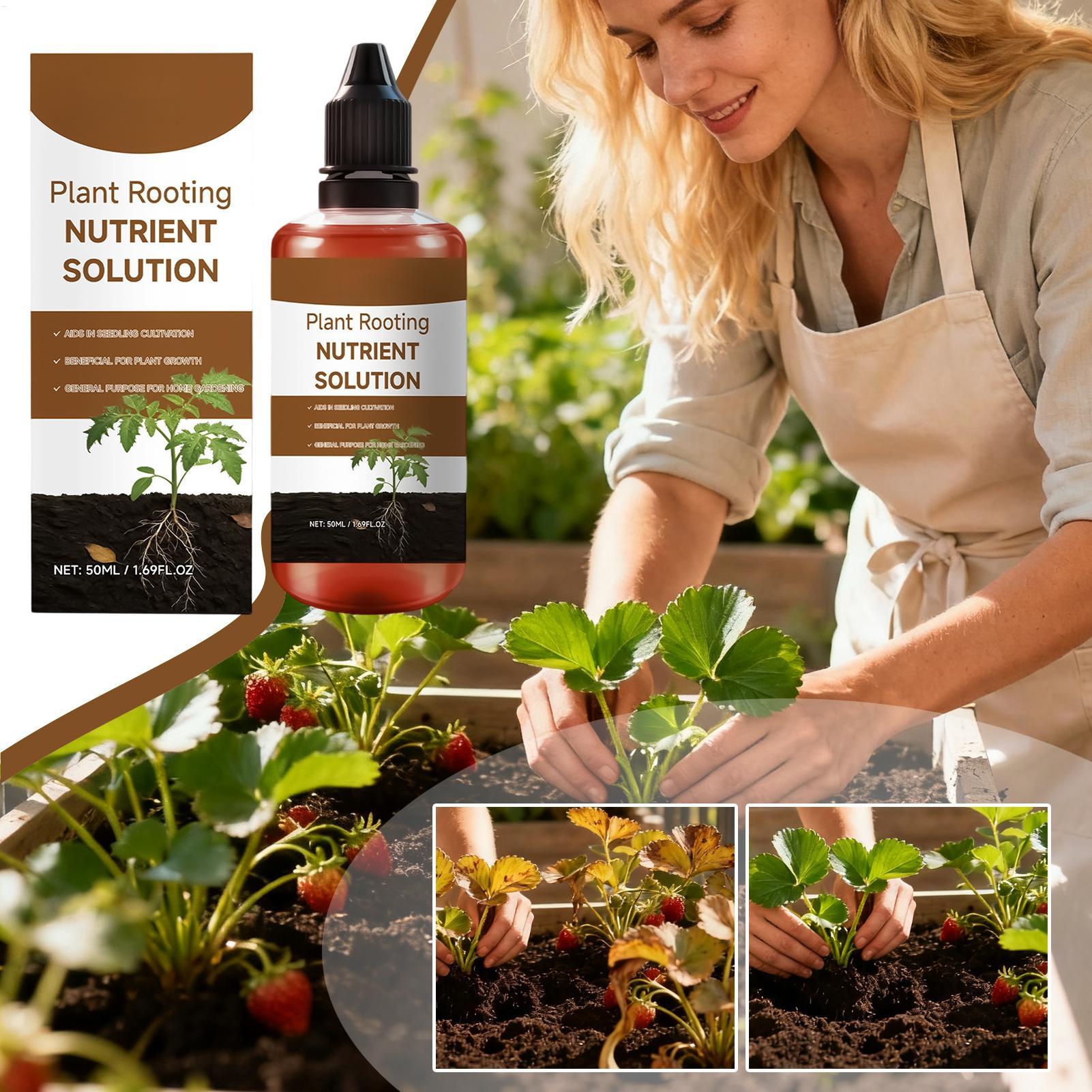 Liquid Rooting Booster 60ml Plant Root Stimulator Concentrate for Propagation Seedlings Cuttings Houseplants Pothos Monstera A
Liquid Rooting Booster 60ml Plant Root Stimulator Concentrate for Propagation Seedlings Cuttings Houseplants Pothos Monstera A
