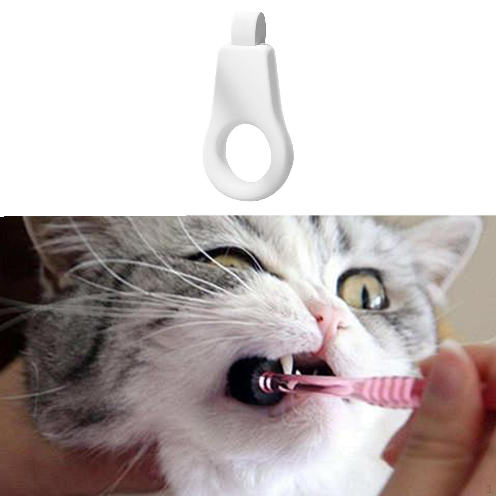 6 Pieces Dog Toothbrush No Messy Remove Bad Breath for Cat Kitten Small Dogs
6 Pieces Dog Toothbrush No Messy Remove Bad Breath for Cat Kitten Small Dogs