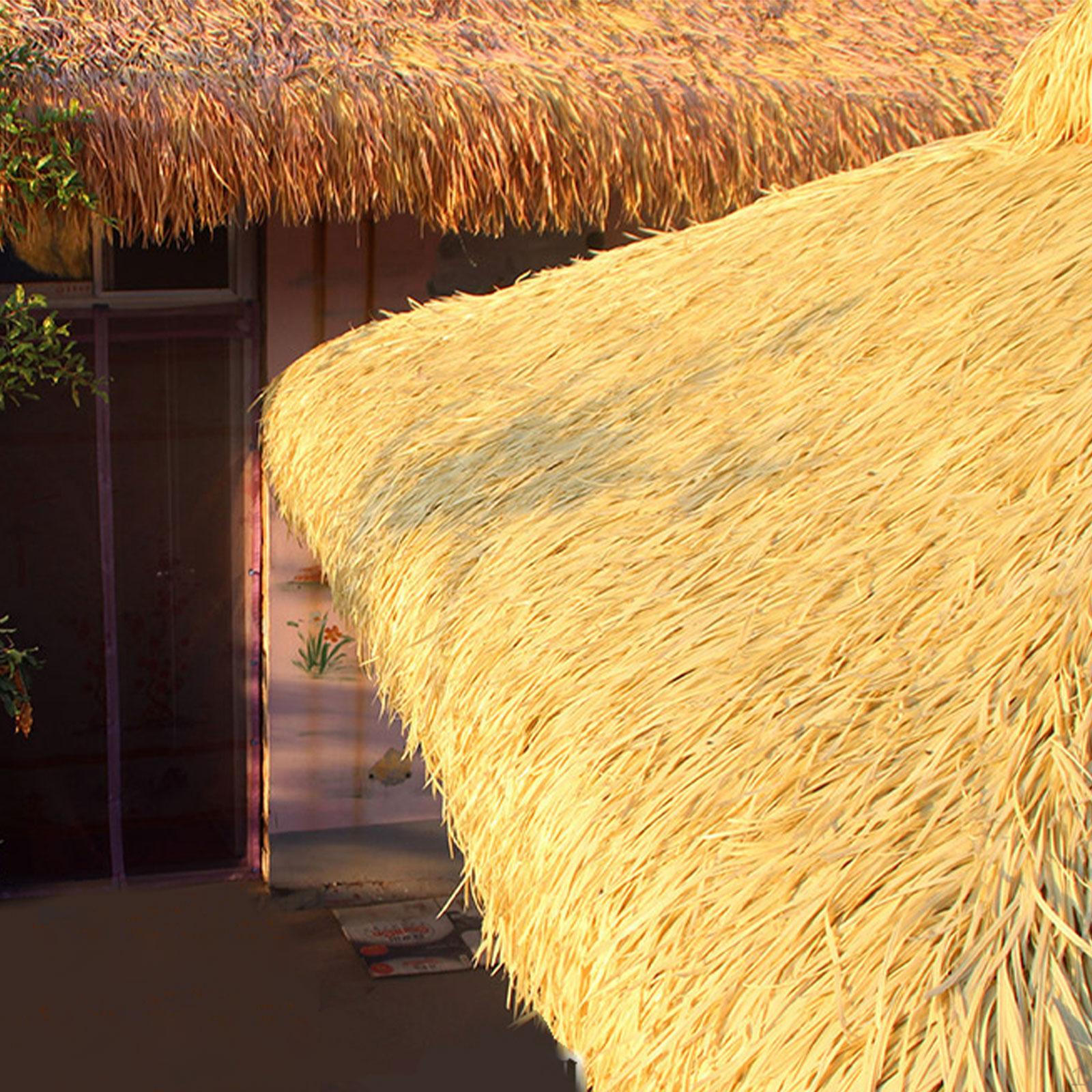 Солом яний дах, рулон штучної пальми, підроблений рулон панелей, трав яний плінтус для Style G
Солом яний дах, рулон штучної пальми, підроблений рулон панелей, трав яний плінтус для Style G