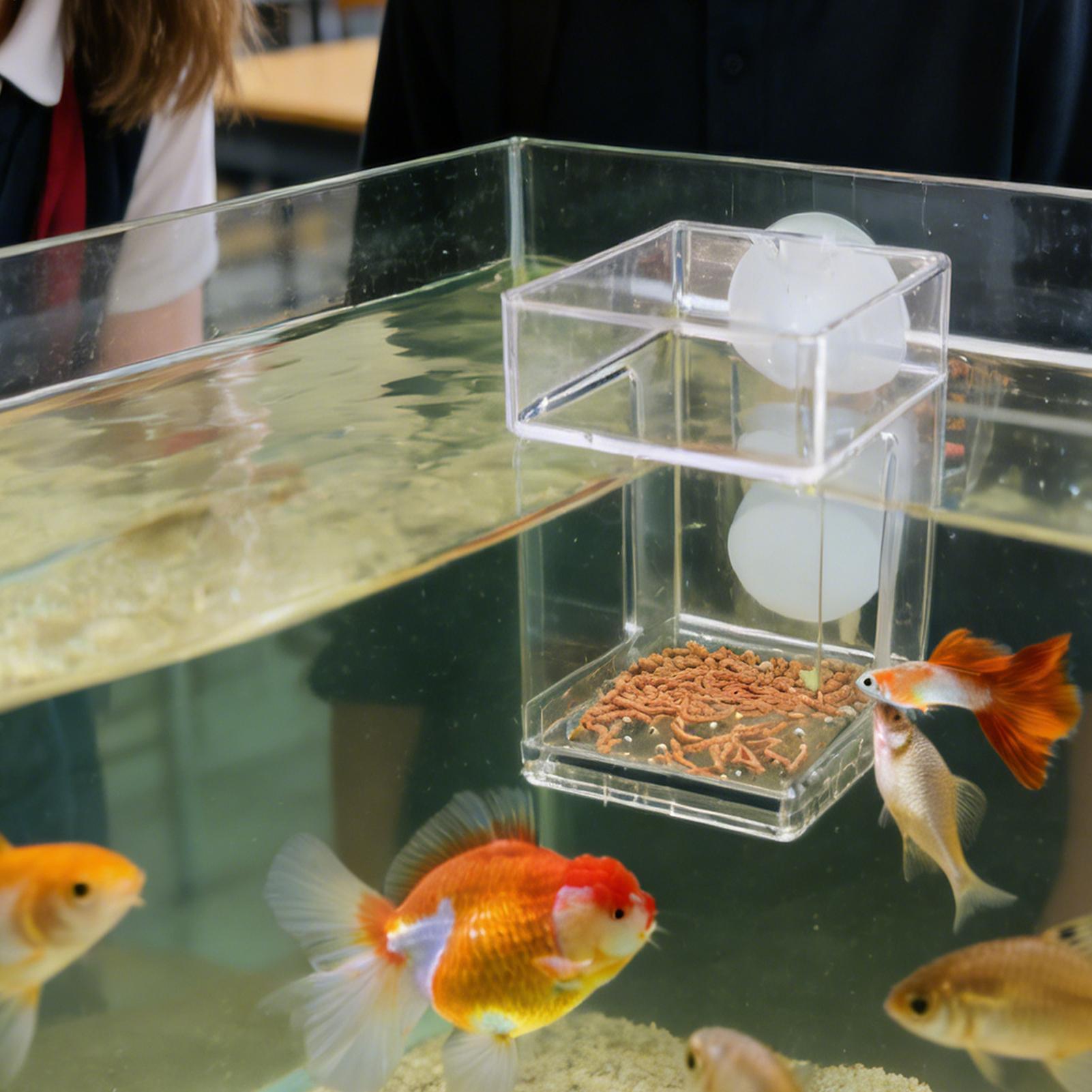 Feeder For Fish Tank Suction Cup Aquarium Feeder Tray Clear Fish Tank Food Dish For Turtle Betta Tetras Shrimp Saltwater China Mainland
Feeder For Fish Tank Suction Cup Aquarium Feeder Tray Clear Fish Tank Food Dish For Turtle Betta Tetras Shrimp Saltwater China Mainland