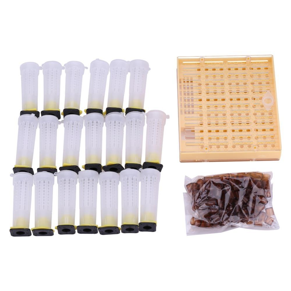 High Quality Plastic Bee Cultivating Tool Non-Toxic Safe Queen Rearing Cage Set Queen Laying Eggs Set1
High Quality Plastic Bee Cultivating Tool Non-Toxic Safe Queen Rearing Cage Set Queen Laying Eggs Set1