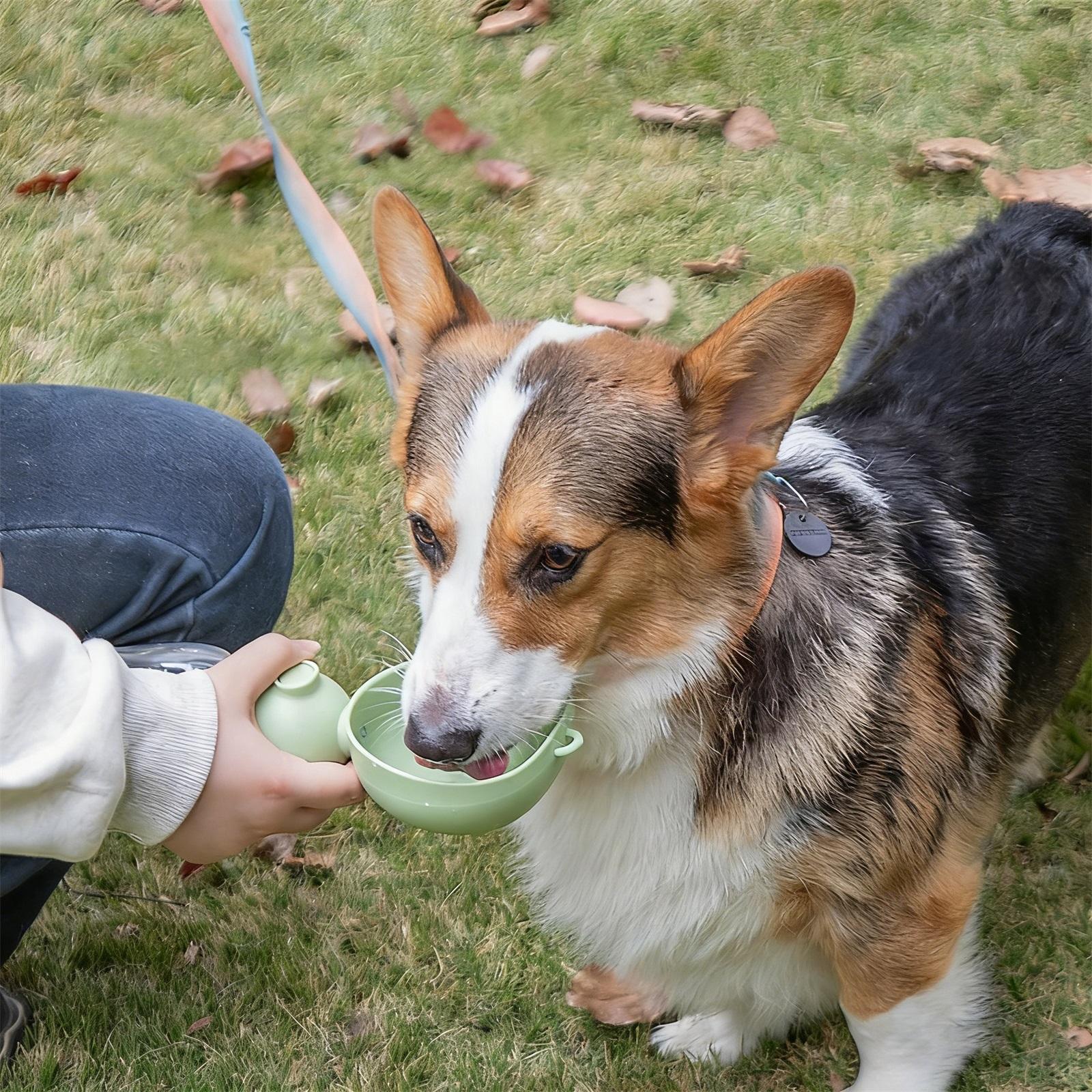 Generic Portable Dog Water Bottle, Orange Polypropylene Pet Dispenser with Food Container,for Walking, Travel, Hiking One Size зелёный
Generic Portable Dog Water Bottle, Orange Polypropylene Pet Dispenser with Food Container,for Walking, Travel, Hiking One Size зелёный