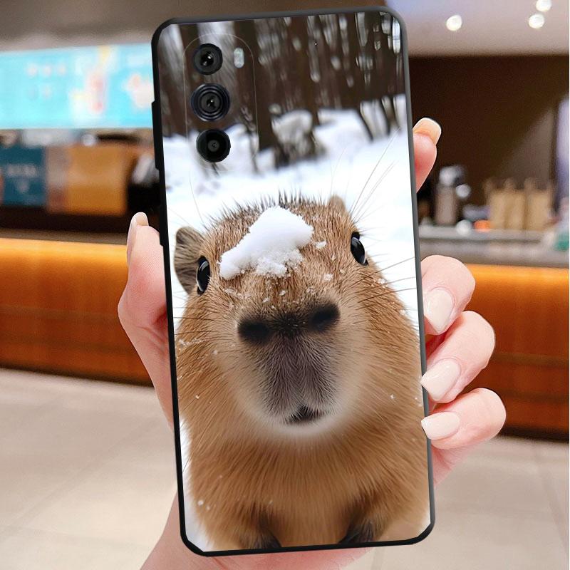 Animal Capybara Funda Phone Case For Motorola Edge 50 40 Pro 60 50 40 30 Ultra Neo Fusion Moto G Play G Stylus G Power G G Stylus 5G 2023
Animal Capybara Funda Phone Case For Motorola Edge 50 40 Pro 60 50 40 30 Ultra Neo Fusion Moto G Play G Stylus G Power G G Stylus 5G 2023