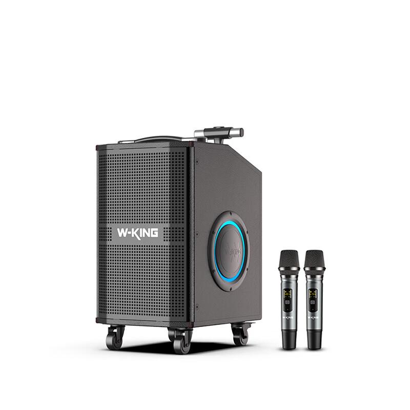 W-King K21SE 120W Portable Karaoke Speaker
W-King K21SE 120W Portable Karaoke Speaker