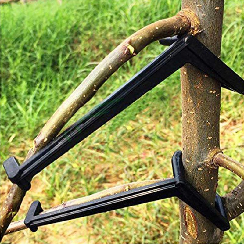 20 Pcs Fruit Tree Pruning Tools Planting Trainer Clips Combos Branch and Limb Spreaders for Trees Branches Bender Pp 20PCS SET
20 Pcs Fruit Tree Pruning Tools Planting Trainer Clips Combos Branch and Limb Spreaders for Trees Branches Bender Pp 20PCS SET
