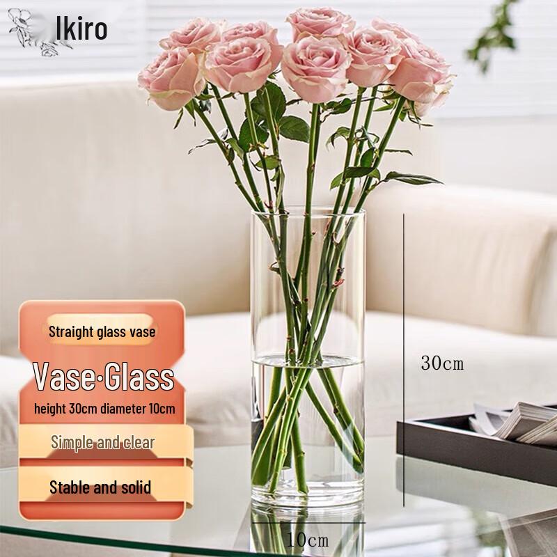 Elegant Transparent Glass Vases
Elegant Transparent Glass Vases