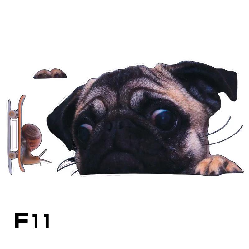 3D Cars, SUVs, Motorcycles and Laptop Cat Stickers - Scratch Resistant Decals for Windows and Bodies
3D Cars, SUVs, Motorcycles and Laptop Cat Stickers - Scratch Resistant Decals for Windows and Bodies