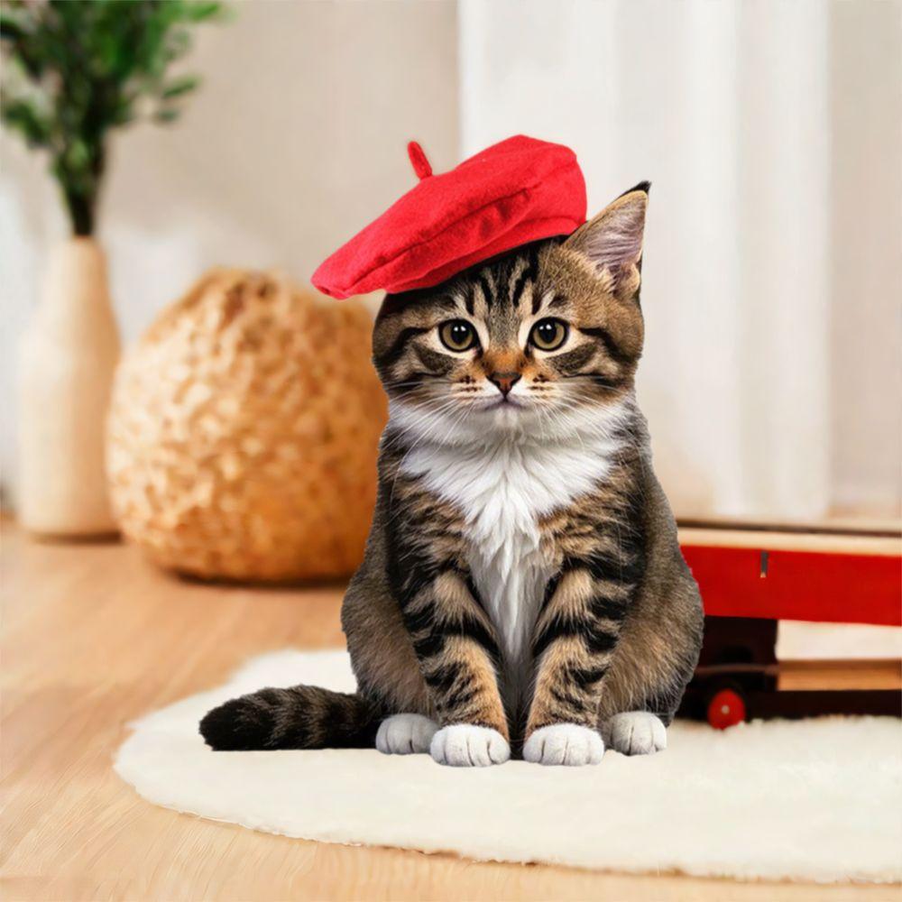 Fashionable Cat Dog Caps Red Black Cat Sunscreen Hat Durable Pet Costume Outdoor Indoor S червоний
Fashionable Cat Dog Caps Red Black Cat Sunscreen Hat Durable Pet Costume Outdoor Indoor S червоний