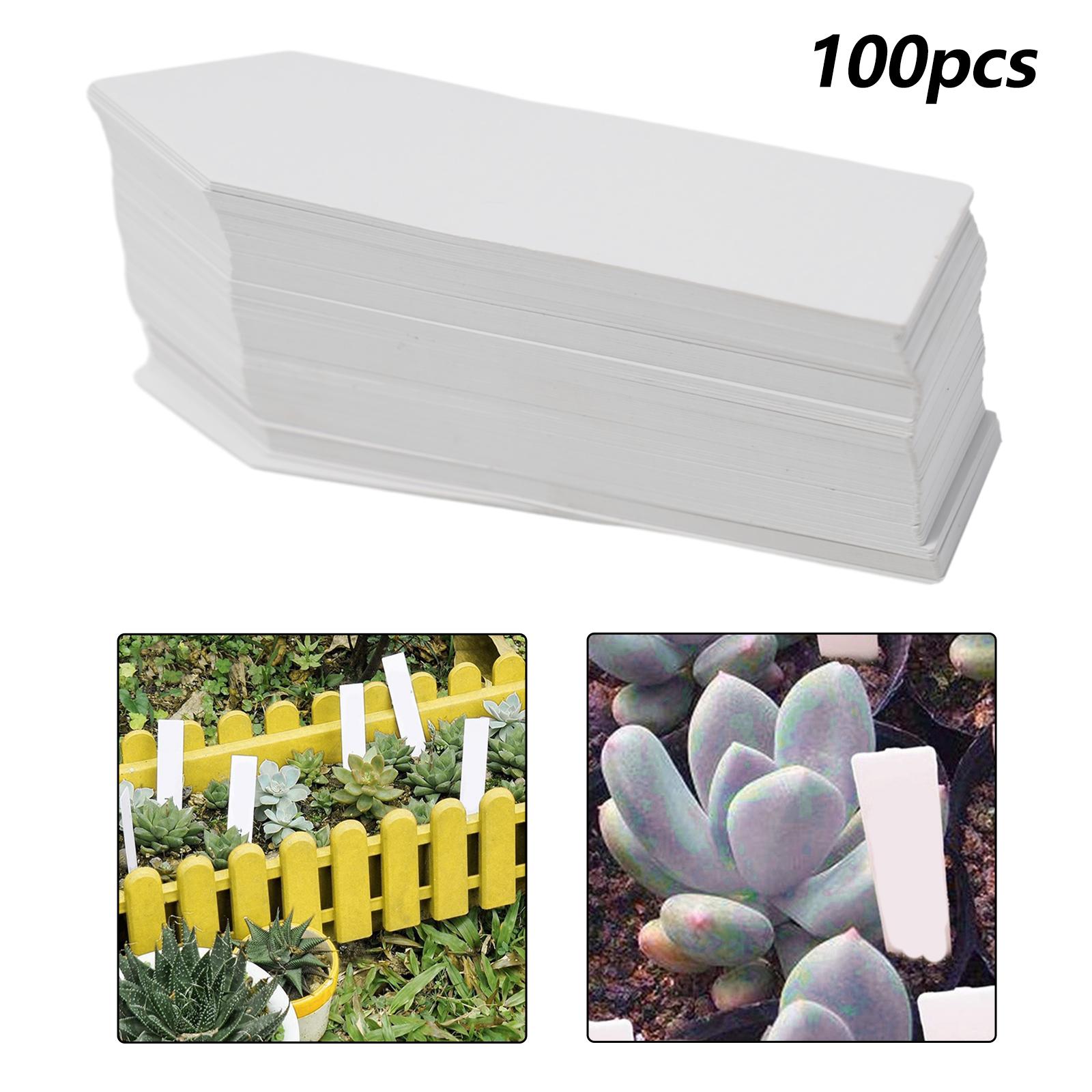 Plant Labels UV Resistant Garden Labels Matte Finish
Plant Labels UV Resistant Garden Labels Matte Finish