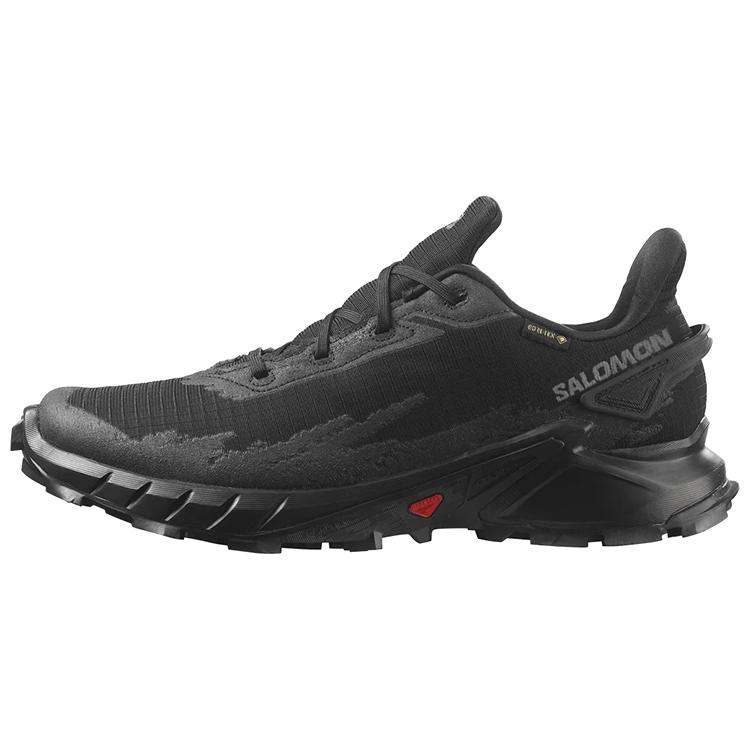SALOMON Alphacross 4 GORE-TEX Black 470640 41⅓
SALOMON Alphacross 4 GORE-TEX Black 470640 41⅓