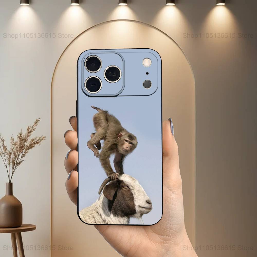 Funny Monkey Cute Case For iPhone 12,14,15,16,17,13,11,X,Mini,Plus,Pro Max,8,7,XR,SE,XS,Soft Silicone Black iPhone17
Funny Monkey Cute Case For iPhone 12,14,15,16,17,13,11,X,Mini,Plus,Pro Max,8,7,XR,SE,XS,Soft Silicone Black iPhone17