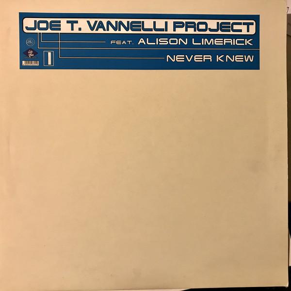 12inch Record JOE T. VANNELLI PROJECT, ALISON LIM - Never Knew DB070 Dream Beat 1997 Italy Dance & Electronica Used
12inch Record JOE T. VANNELLI PROJECT, ALISON LIM - Never Knew DB070 Dream Beat 1997 Italy Dance & Electronica Used
