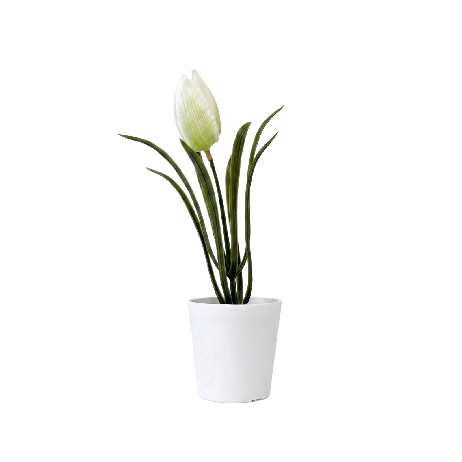 Artificial Floral And Desktop Decor One Size зелёный
Artificial Floral And Desktop Decor One Size зелёный