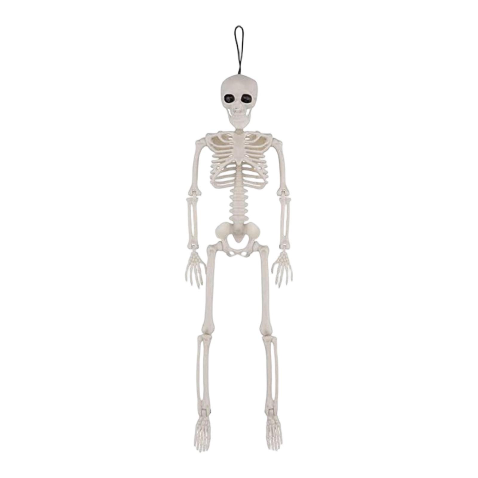 Bar Haunted House Escape Simulation Plastic Skeleton Props Ornaments One Size белый
Bar Haunted House Escape Simulation Plastic Skeleton Props Ornaments One Size белый