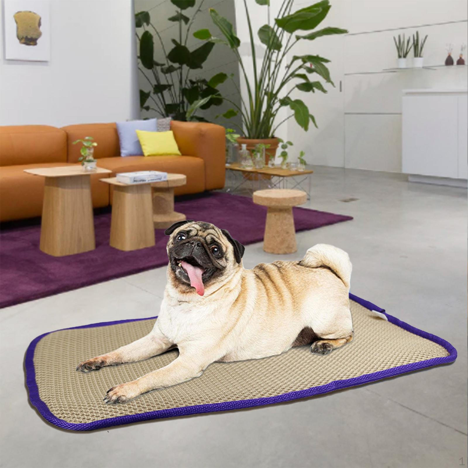 Chill Comfort Pet Cooling Mat for Dogs and Cats S
Chill Comfort Pet Cooling Mat for Dogs and Cats S