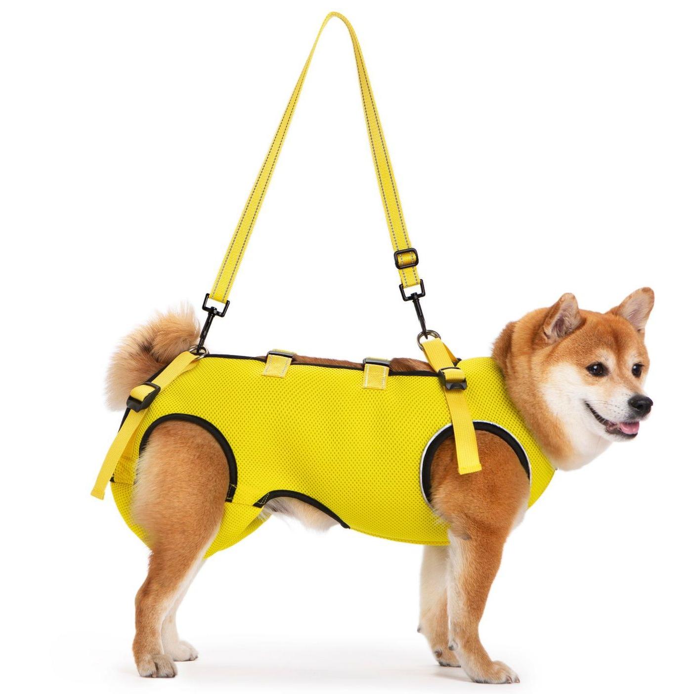 Adjustable Dog Collar Rehabilitation Dog Harness for Joint Injuries Disabled Pet Walking Obstacle Dog Clothes Pet Accessories XS жёлтый
Adjustable Dog Collar Rehabilitation Dog Harness for Joint Injuries Disabled Pet Walking Obstacle Dog Clothes Pet Accessories XS жёлтый
