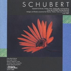 CD PETER ROSEL Schubert Piano Quintet The Trout 22TC284 1989 Japan Classical Used
CD PETER ROSEL Schubert Piano Quintet The Trout 22TC284 1989 Japan Classical Used