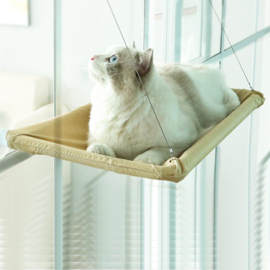 Товары для домашних животных Присоска Гамак для кошек Кошачьи гнезда фиолетовый 
Товары для домашних животных Присоска Гамак для кошек Кошачьи гнезда фиолетовый