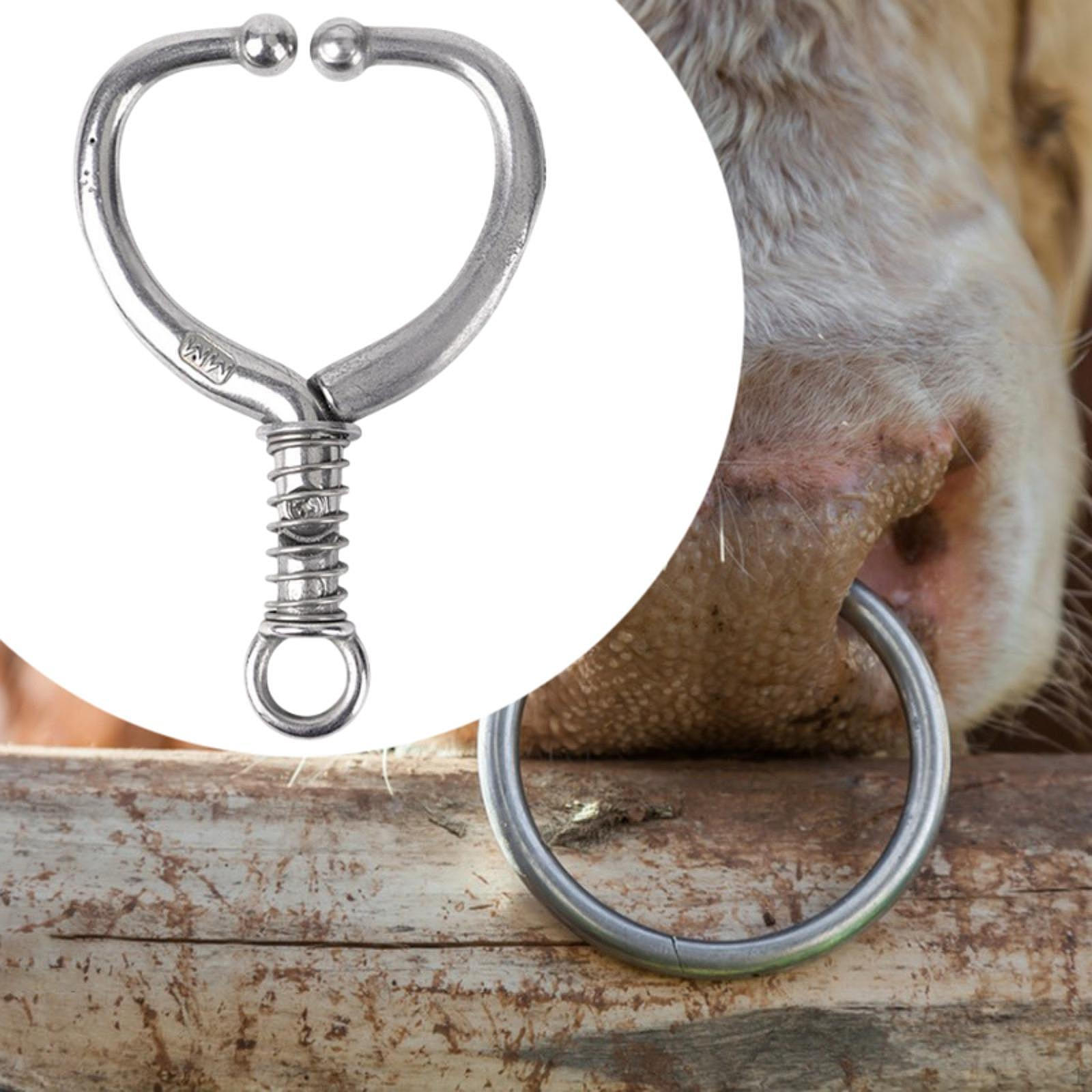 Кольцо для носа быка, оборудование для сельскохозяйственных животных, пружинные щипцы для коров из нержавеющей стали 14.5cmx9.6cm
Кольцо для носа быка, оборудование для сельскохозяйственных животных, пружинные щипцы для коров из нержавеющей стали 14.5cmx9.6cm