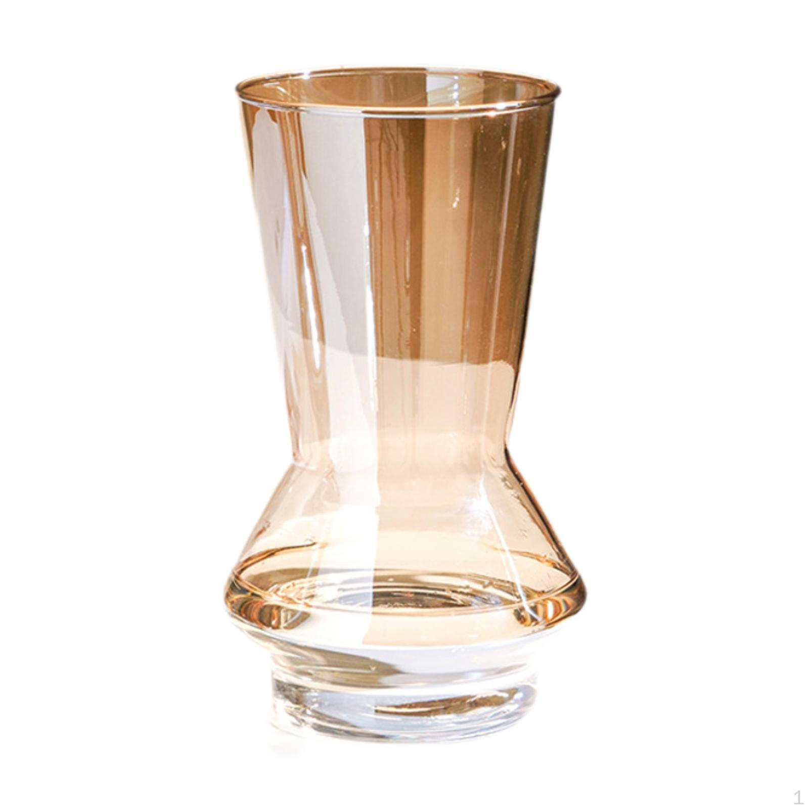 Clear Glass Flower Vase Floral Container Modern Transparent Arrangements for Indoor Desk
Clear Glass Flower Vase Floral Container Modern Transparent Arrangements for Indoor Desk