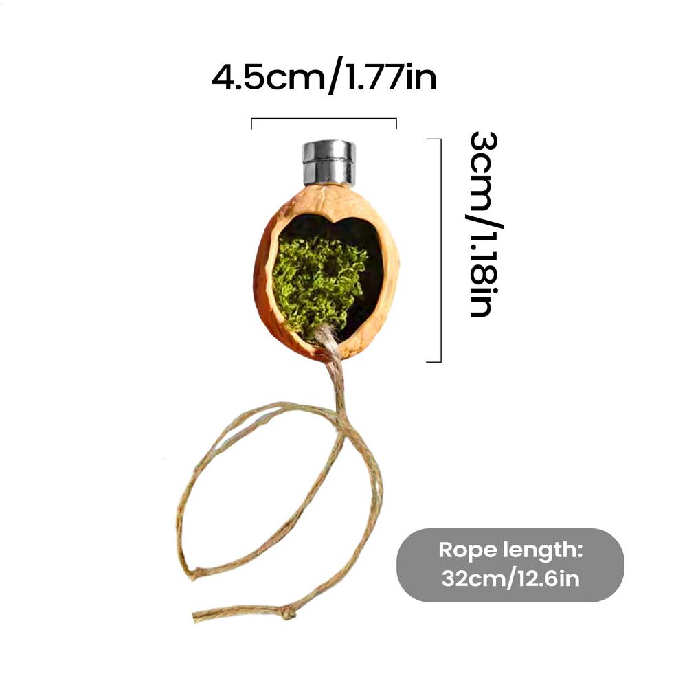 Spider Enclosure Accessories Magnetic Walnut Habitat Jumping Spider Terrarium Decor with Rope for Terrarium Breeding Geckos Tree
Spider Enclosure Accessories Magnetic Walnut Habitat Jumping Spider Terrarium Decor with Rope for Terrarium Breeding Geckos Tree