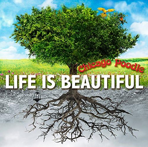 CD CHICAGO POODLE Life is Beautiful GZCA5267 2014 Japan ObiJapanese PopRock Used
CD CHICAGO POODLE Life is Beautiful GZCA5267 2014 Japan ObiJapanese PopRock Used